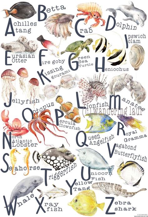 Under The Sea A To Z Abc Fish Alphabet Poster Original Etsy