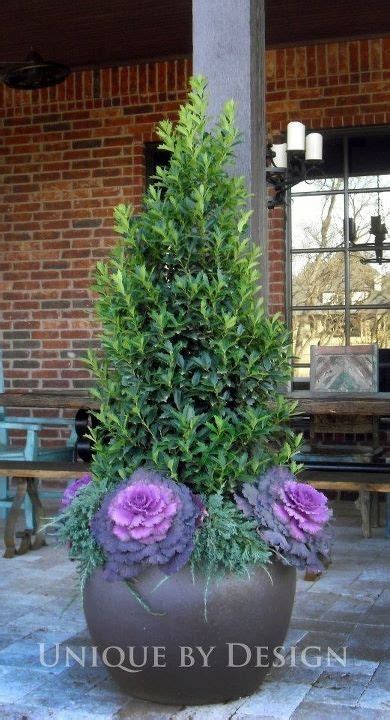 17 Best Images About Winter Container Ideas On Pinterest Gardens
