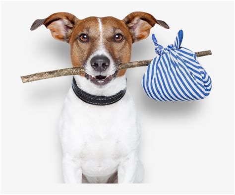 Locations Dog With Hobo Stick Transparent Png 678x600 Free