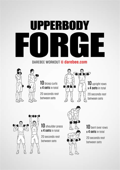 Consists of semispinalis and a number of short muscles that extend from one vertebrae to the next. Upperbody Forge Workout