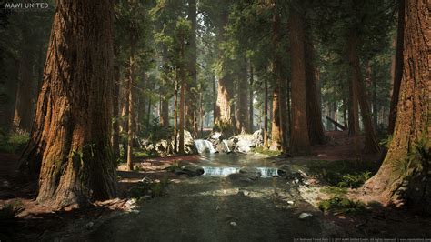Willi Hammes Ue4 Redwood Forest
