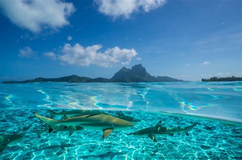 Stephan Debelle Photographer In Bora Bora French Polynesia Anas