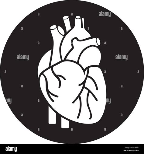 Órgano Del Corazón Humano Diseño De Ilustraciones Vectoriales Icono