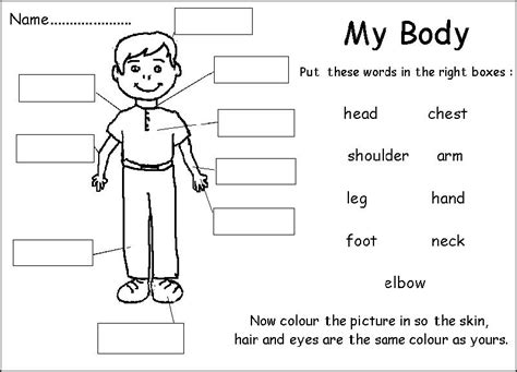 Soal Bahasa Inggris Melengkapi Kalimat Belajar Bersama