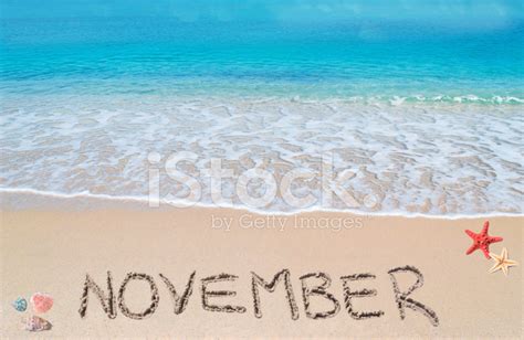 November On A Tropical Beach Stock Photo Royalty Free Freeimages