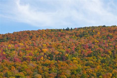 Peak Foliage In Vermont Stock Image Image Of Foliage 46020489