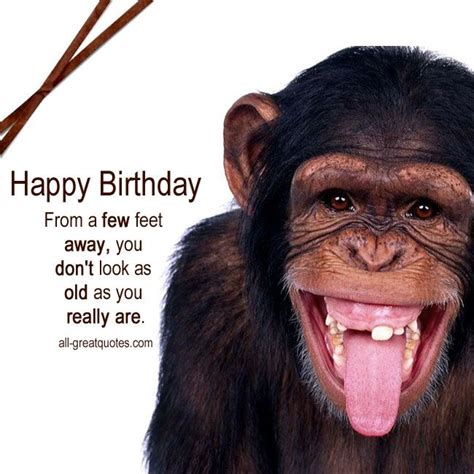 Free Funny Birthday Cards Humor Birthday Cards Fun Birthday Cards