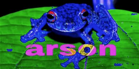 What Is The Arson Frog Tiktok Meme And How Did It Spread