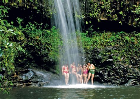 Rainforest Waterfall Hike East Maui Hike Maui Waterfall Hikes