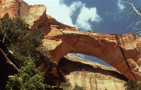 Kolob Arch Zion National Park Utah S 12 Inch By 18 Inch Laminated