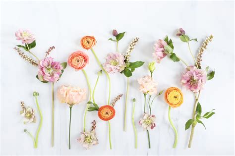 Floral Desktop Wallpapers Top Free Floral Desktop Backgrounds