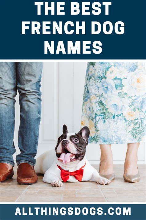 Best French Dog Names French Dog Names French Dogs Dog Names