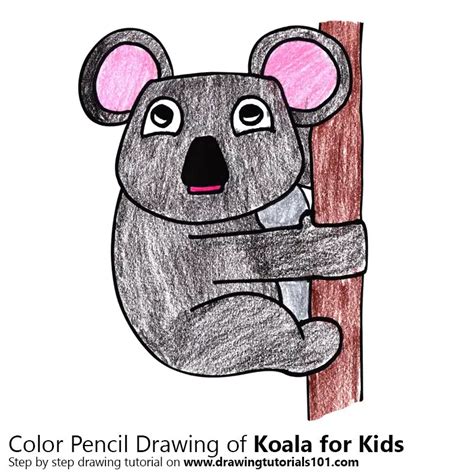 How To Draw A Koala For Kids Animals For Kids Step By Step