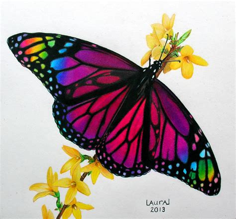 Rainbow Butterfly By Allisonlauren On Deviantart