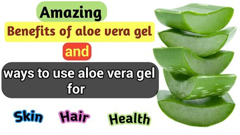 Aloe Vera Gel How To Use Aloe Vera Gel Aloe Vera Gel Benefits For