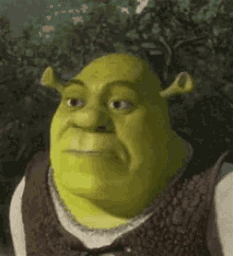 Meme Shrek Memes Shrek Factory Memes Shrek Gifs Get The Sexiz Pix