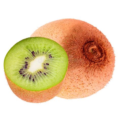 One Whole Kiwi Isolated On White Stock Image Image Of Kiwi Healthy