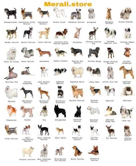 Dog Breeds Dog Breed Names Dog Breeds Chart Calm Dog Breeds