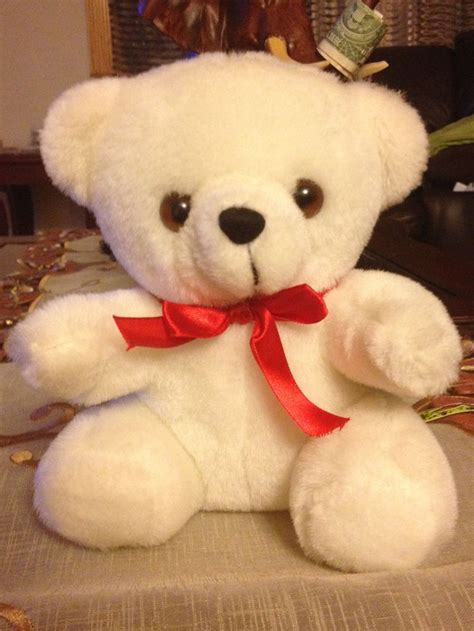 Cute And Cuddly Teddy Bear