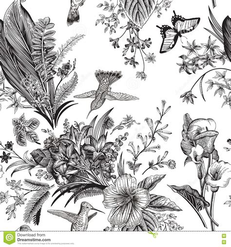 Seamless black and white floral pattern background. Vector Seamless Vintage Floral Pattern. Exotic Flowers And ...