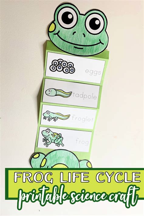 This Frog Life Cycle Craft Is Easy Enough For Any Age Add It To Your