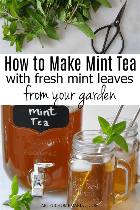 How To Make Mint Tea With Fresh Mint Leaves Recipe Mint Tea Recipe
