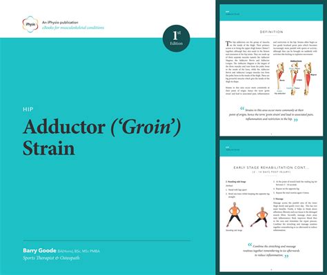Adductor Groin Strain Damage To The Tendons Of The Inner Thigh