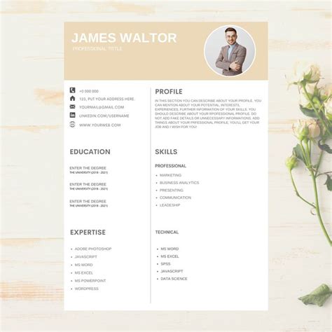 Resume Template For Canva Professional Resume Template And Etsy In