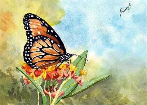 Monarch Butterfly Painting By Sam Sidders Pixels