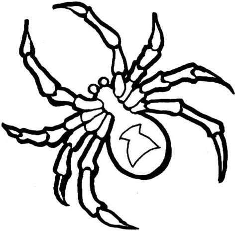 Black Widow Spider Coloring Page Spider Coloring Page Black Widow