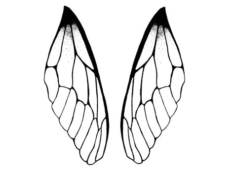 Dragonfly Wings Drawing Free Download On Clipartmag
