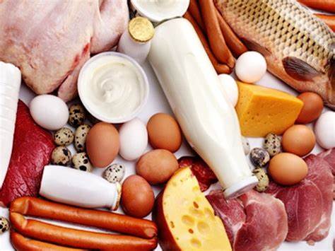 Диета агатстона первый этап Диета Животной Пищей – Telegraph Диета Животной Пищей – Telegraph Диета агатстона первый этап