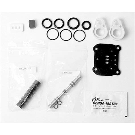 Air Kit For 1 2 Pumps Versa Matic VMKE5A Kleen Rite