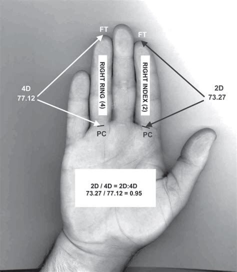 A Conventional Method For Measuring Digit Length And Calculating