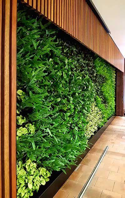 Green Wall Hire Vertical Garden Hire Tropical Plant Rentals Sydney