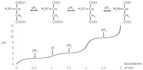 But we’re guessing there’s one thing you don’t give much thought to: Basics of Amino Acids | Concise Medical Knowledge