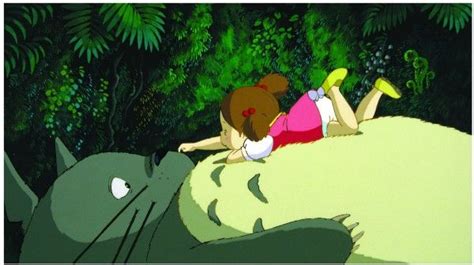 My Neighbor Totoro Two Disc Special Edition Dvd Review