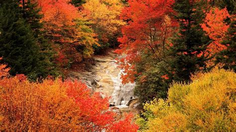 Water Cascades In Autumn Forest Hd Wallpaper Background