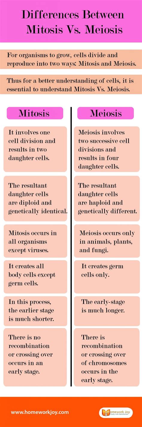 Differences Between Mitosis Vs Meiosis 011 Infographics Homework Joy