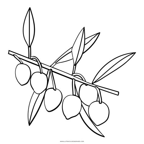 Dibujo De Aceitunas Para Colorear Ultra Coloring Pages En 2023 Pdmrea