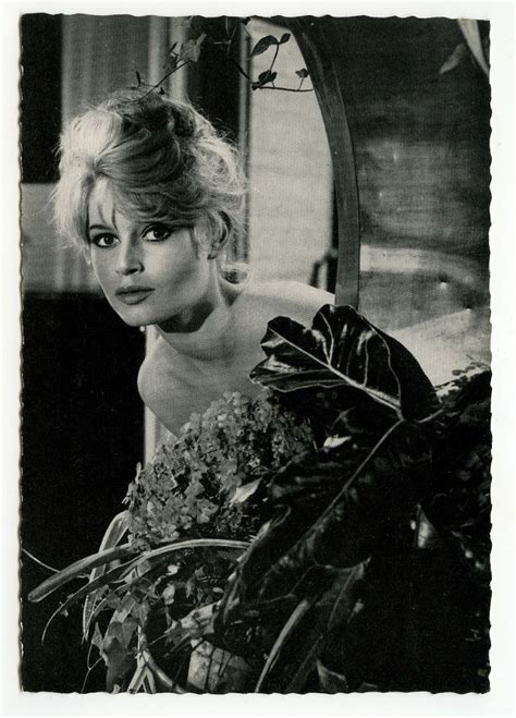 Brigitte Bardot ブリジットバルドー
