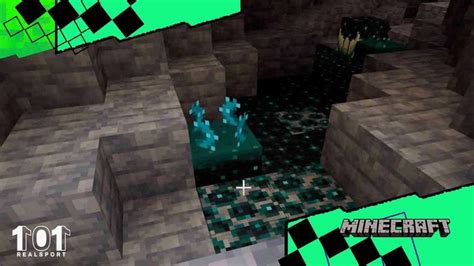 Minecraft Caves And Cliffs Update New Blocks What Are They Where To