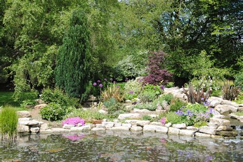 Dixons Landscapes Landscape Designer And Pond Maintenance