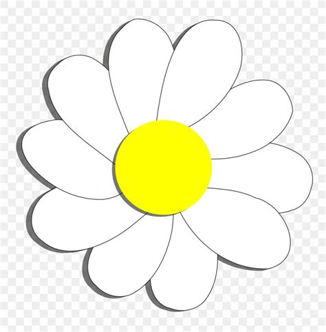 Flower Common Daisy Coloring Book Clip Art Png 999x1019px Flower