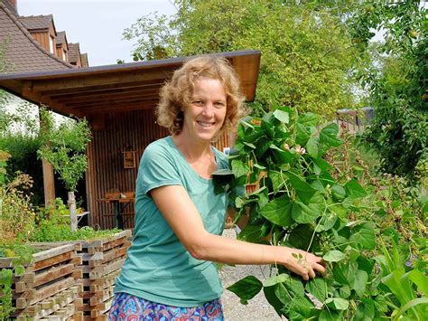 Sie können einen garten vom kleingärtnerverein pachten, wenn sie als mitglied aufgenommen sind und ein freier garten zur verfügung steht. Schaugarten: Wer will helfen, den Garten zu pflegen ...