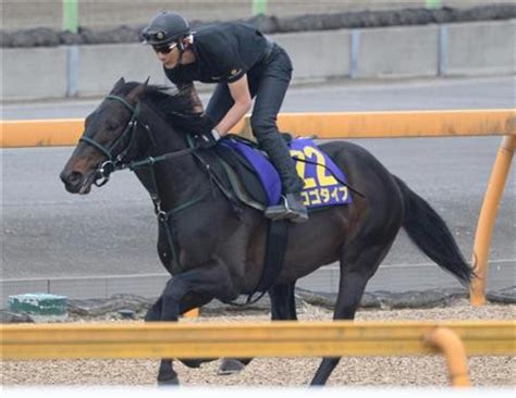 The site owner hides the web page description. 【日本ダービー】2冠へ完璧!ロゴタイプ自信の"静"｜競馬 ...