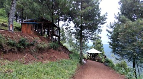 Proposal pengembangan wisata kawasan sempadan pantai malimbu. Berlibur ke Hutan Goa Pinus yang Sejuk di Kota Batu - akulily