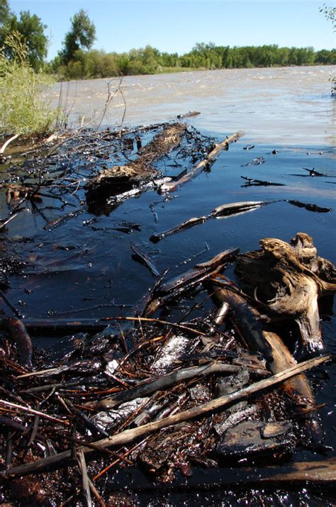 Teams Gauge Oil Spill Damage To Yellowstone River The Salt Lake Tribune