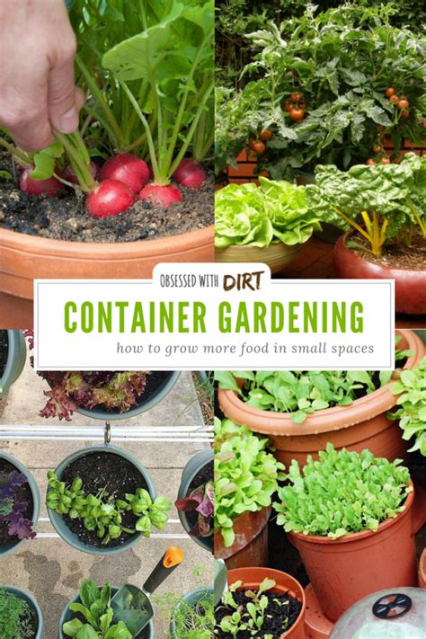 Container Vegetable Gardening Grow More Veggies In Small