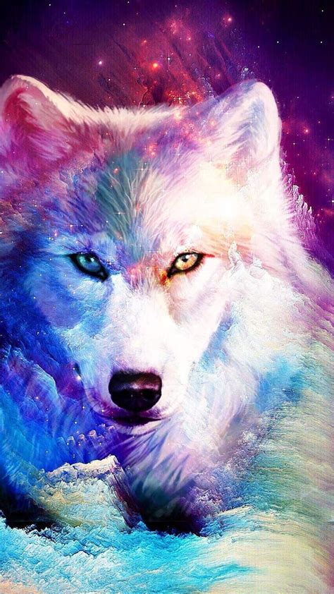 Galaxy Wolf Rainbow Wallpapers Wallpaper Cave